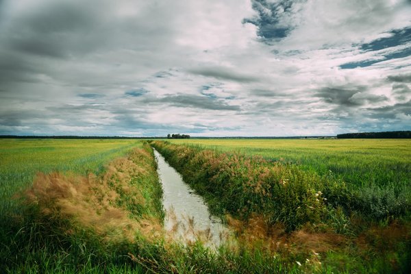Comment les innovations dans les turbines hydrauliques améliorent-elles l'hydroélectricité en eaux peu profondes ?